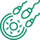 IVF & Fertility